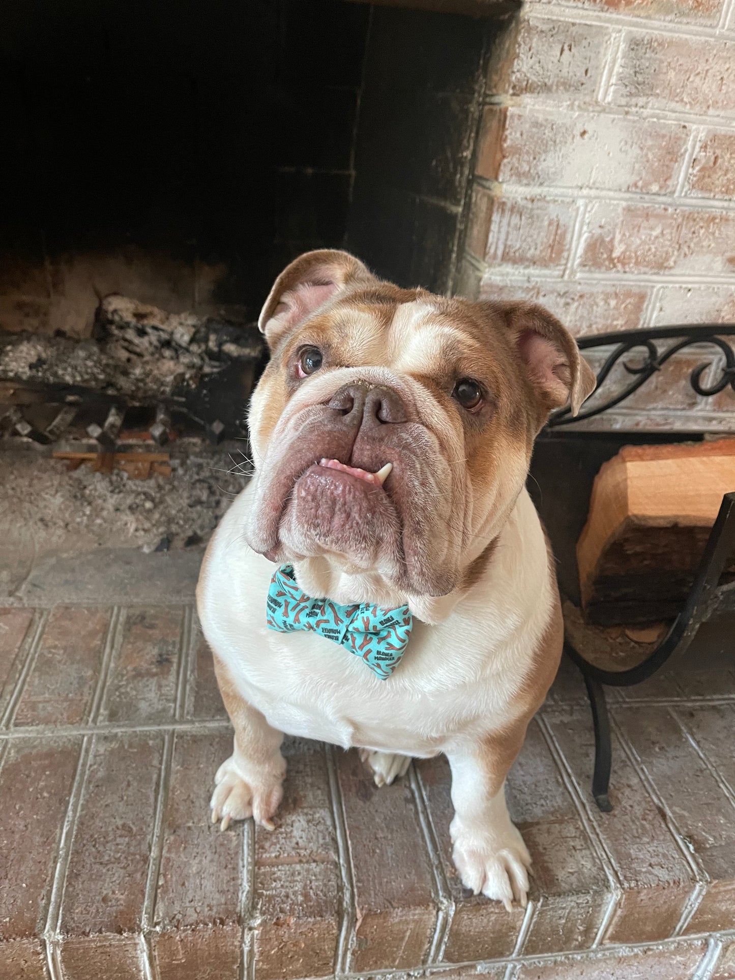Bowtie - Branch Manager (Aqua)