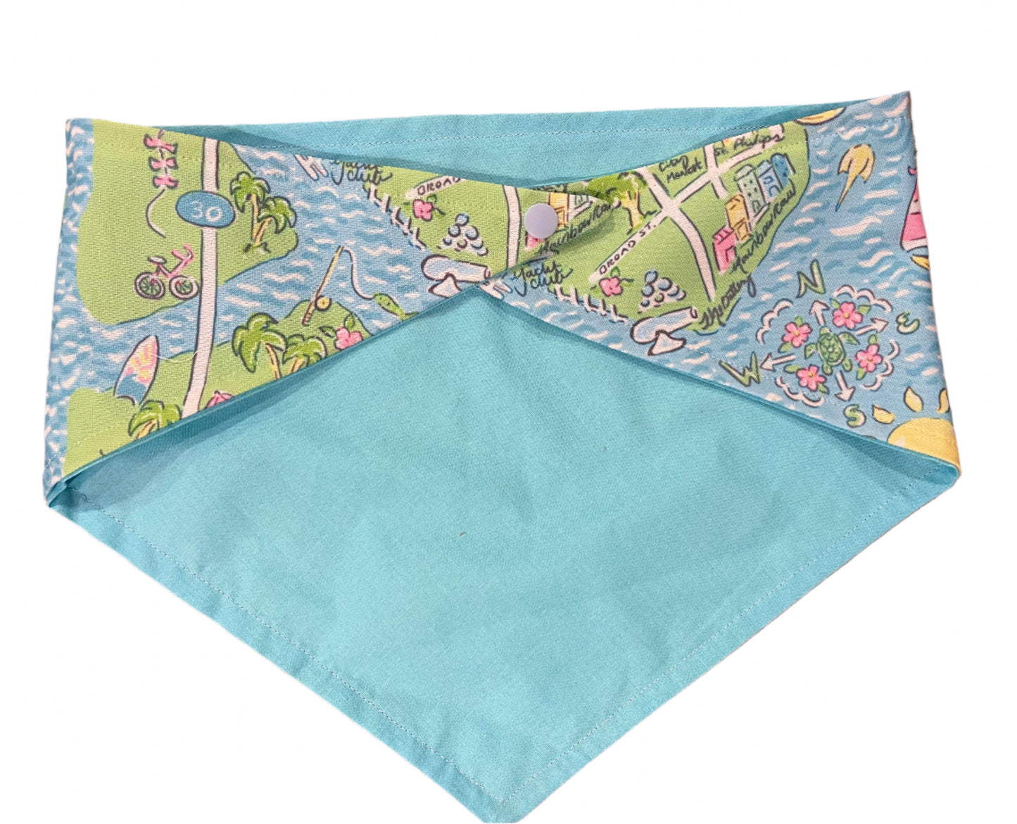 Dog Bandana - Charleston Watercolor Map