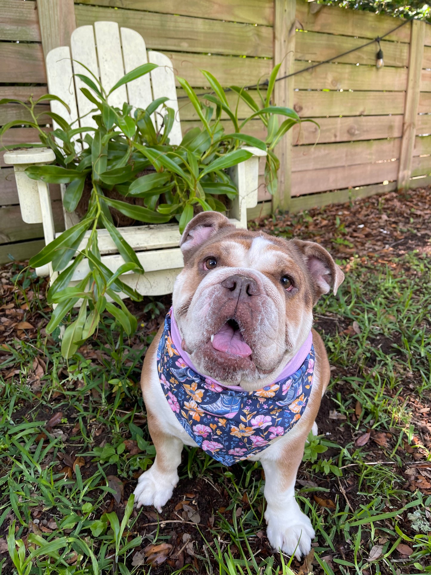 Dog Bandana - Cowgirl Boots & flowers 🌸