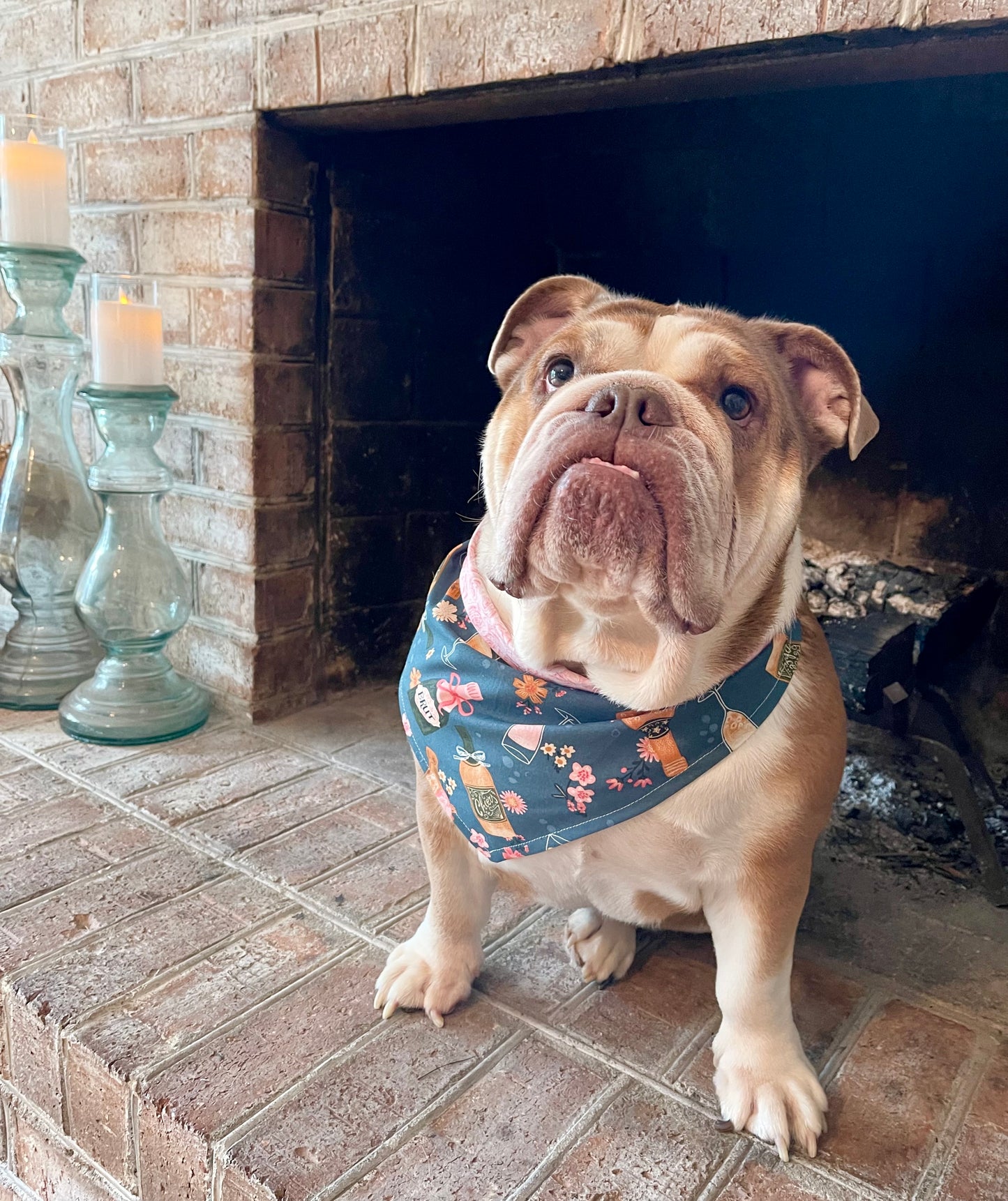 Dog Bandana - Rose’ kind of day