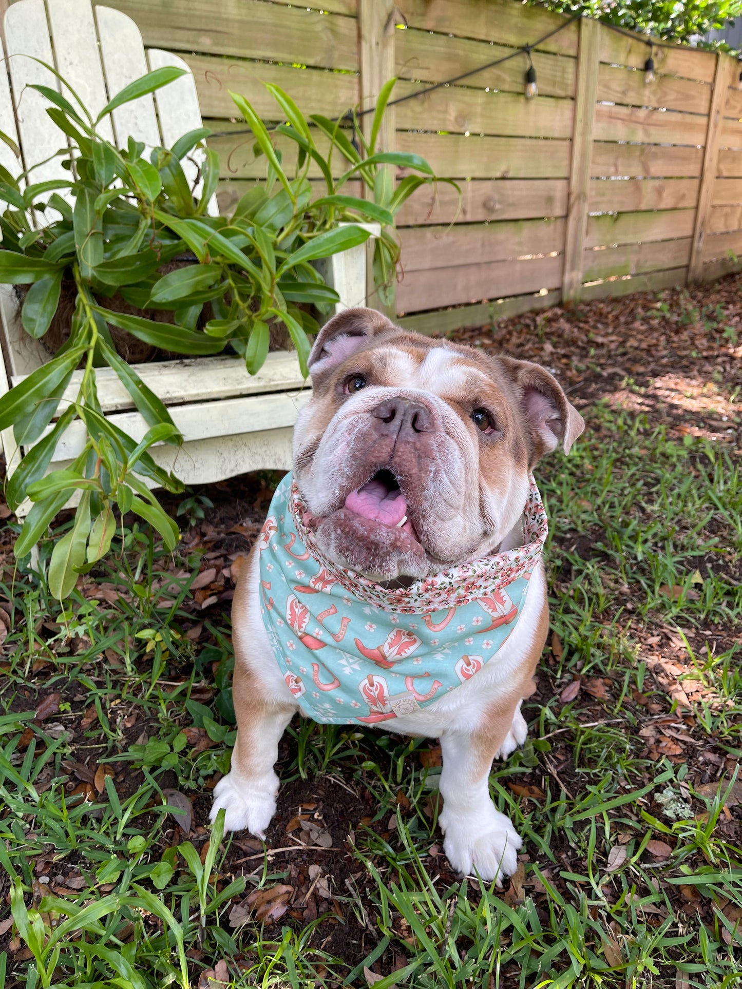 Dog Bandana - Sweet Cowgirl Boots 👢🌸