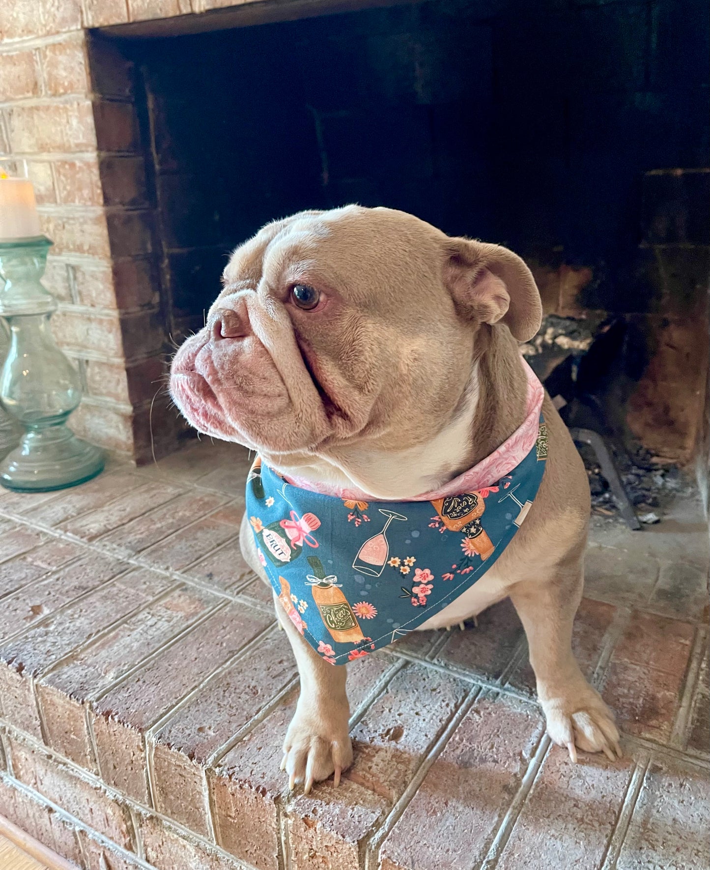 Dog Bandana - Rose’ kind of day