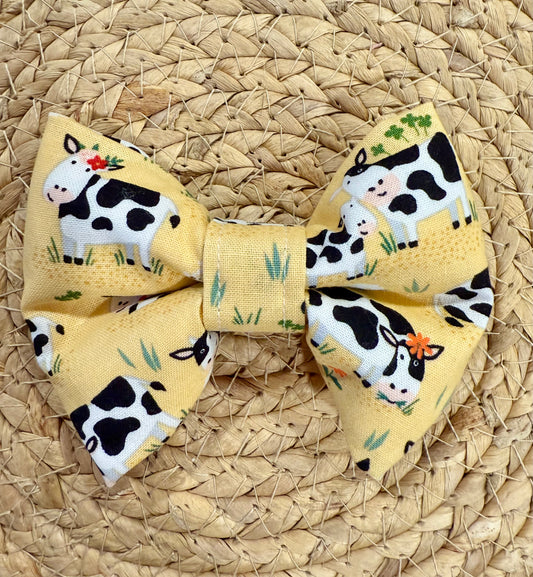 Bowtie - Mini Cows