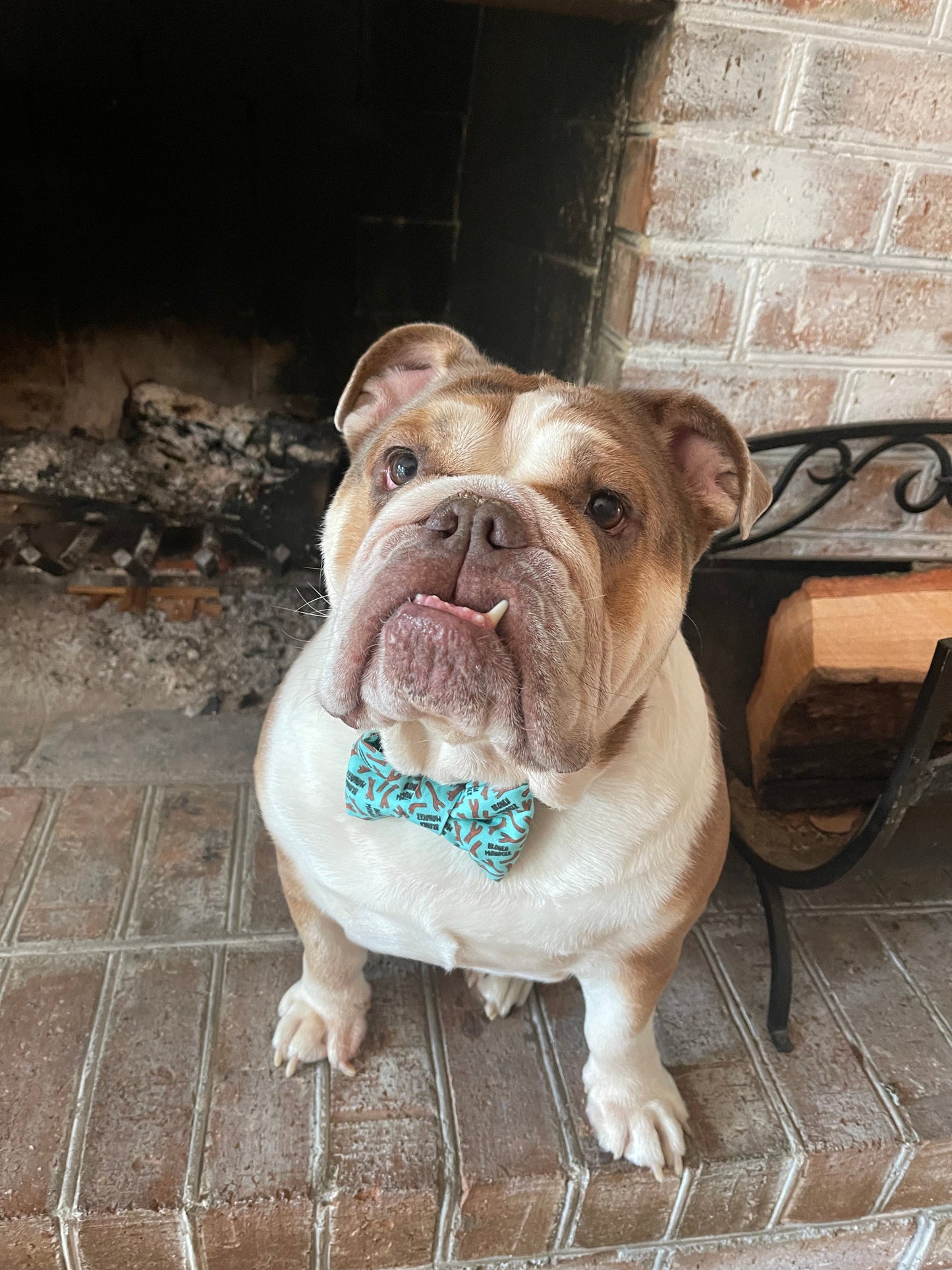 Dog Collar Bowtie - Cow print (brown) with glitter sparkles