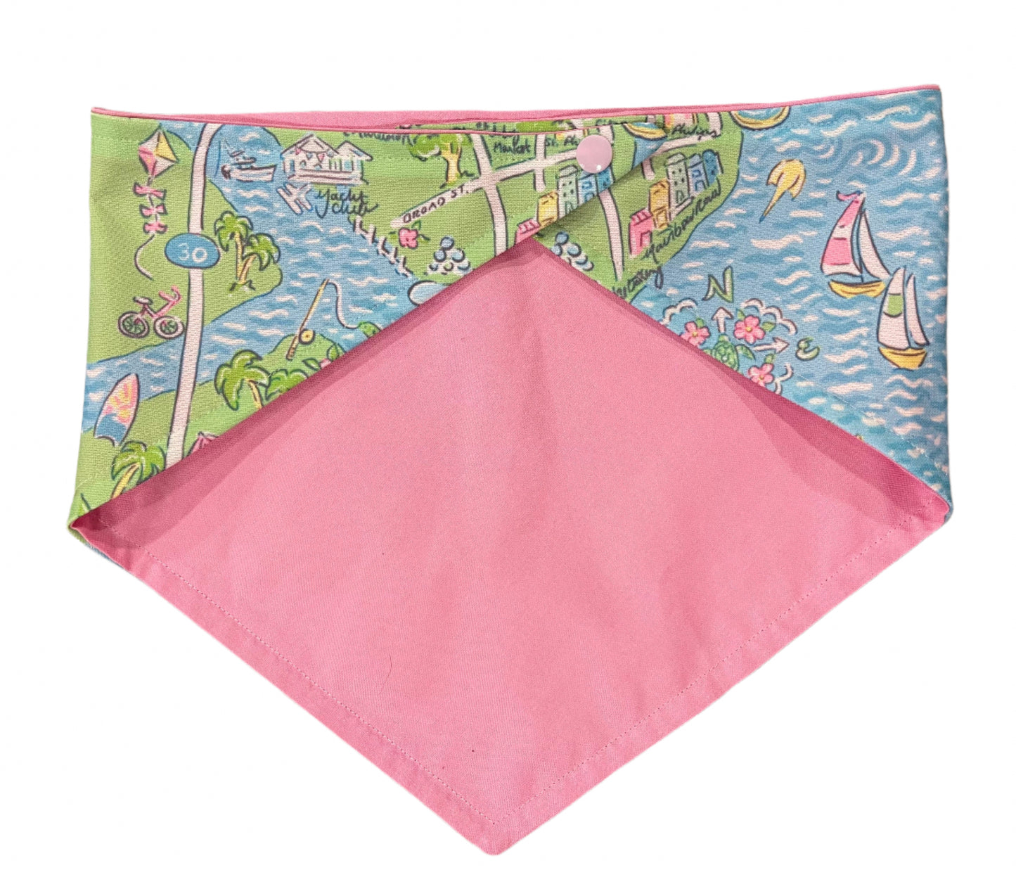 Dog Bandana - Charleston Watercolor Map