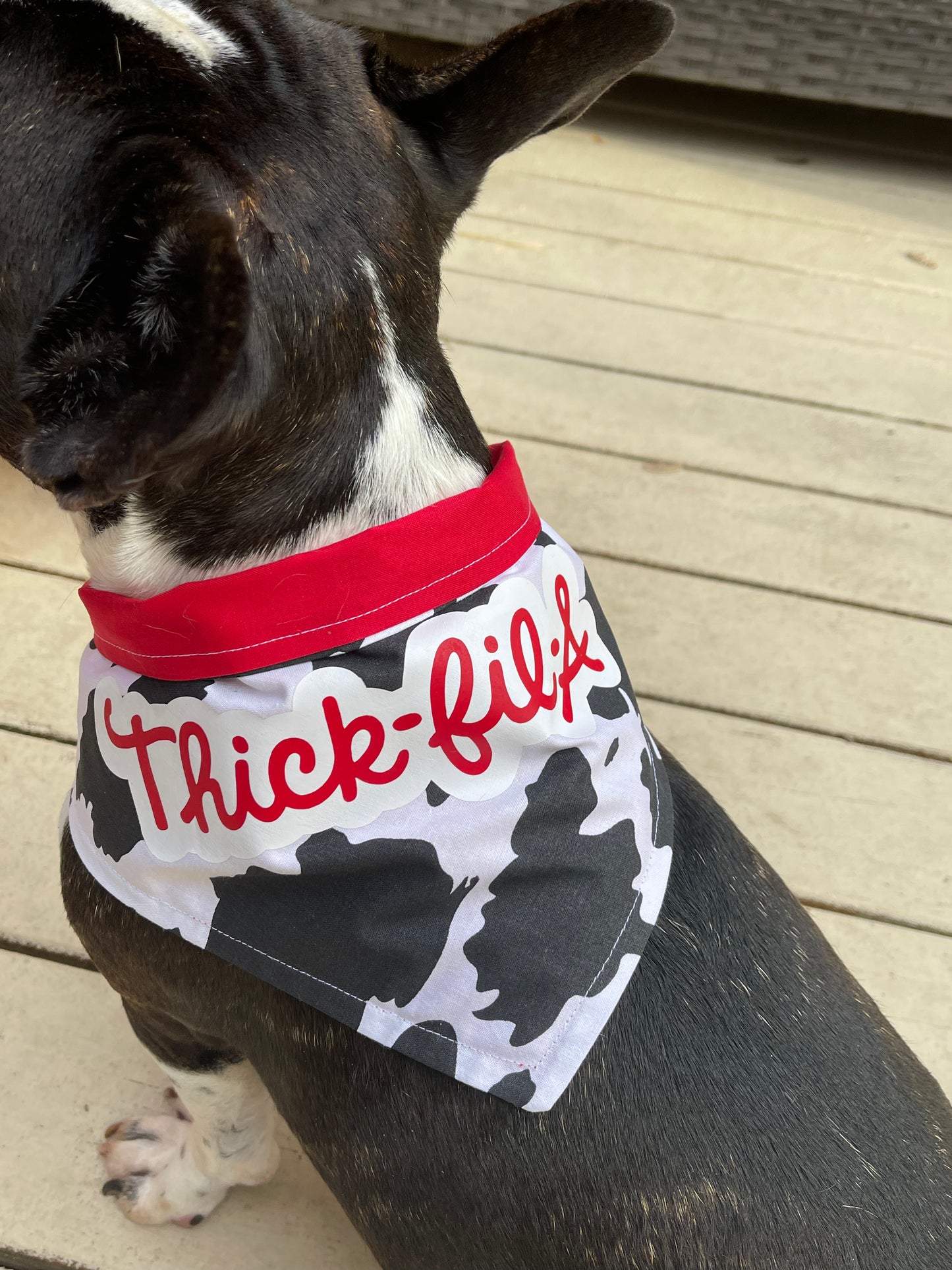 Dog Bandana -Thick Fil A